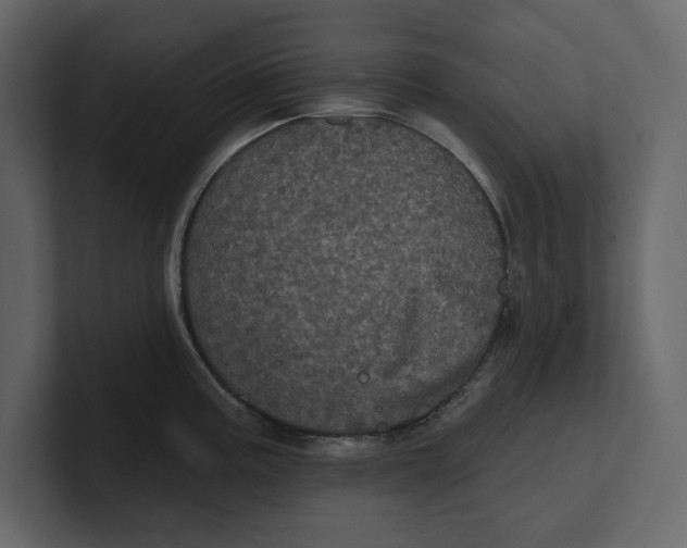 X0000100921195200807151215