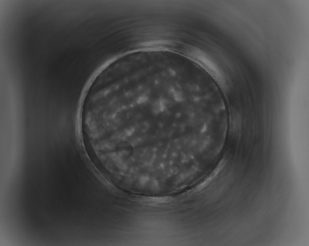 X0000100921196200807151215