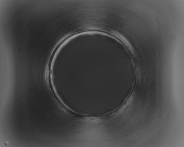 X0000100921198200807151215