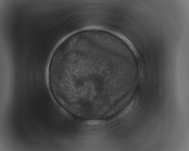 X0000100921199200807151215