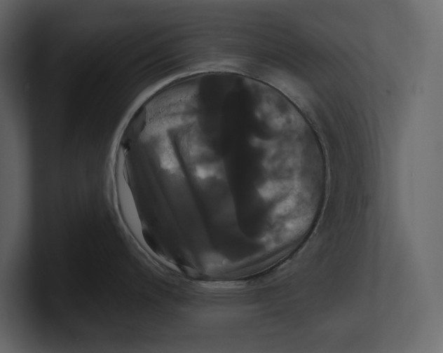 X0000100921200200807151215