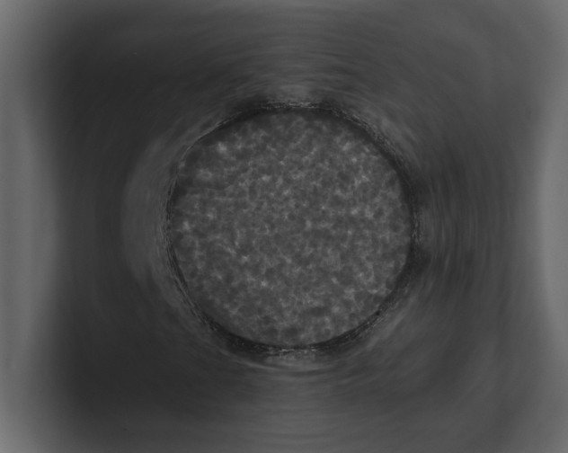 X0000100921201200807151214