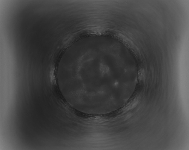 X0000100921202200807151214