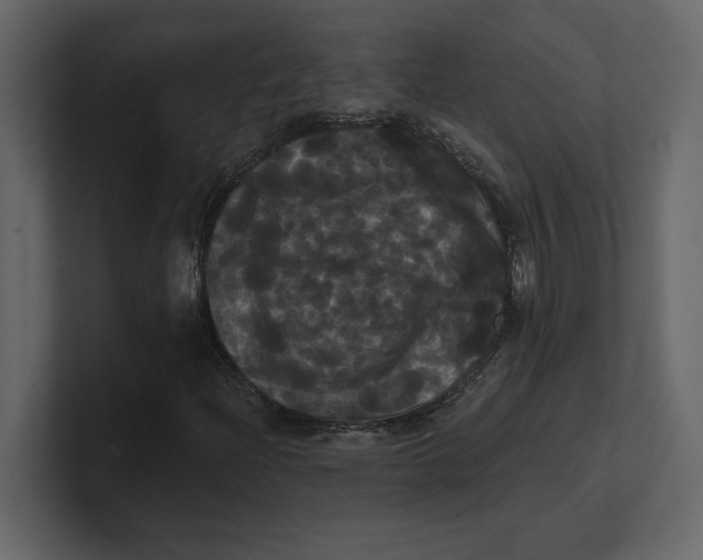 X0000100921204200807151214