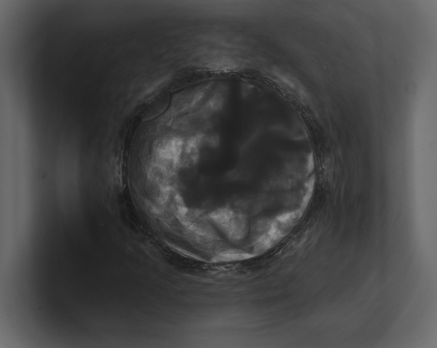 X0000100921205200807151214