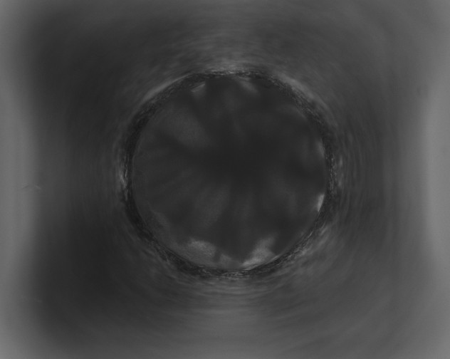 X0000100921206200807151214