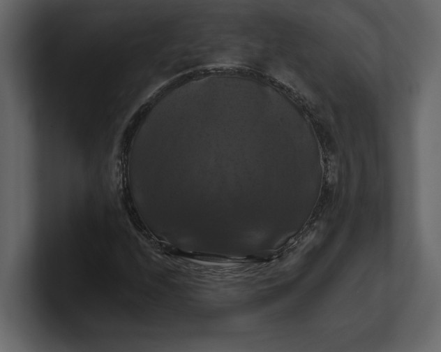 X0000100921208200807151214