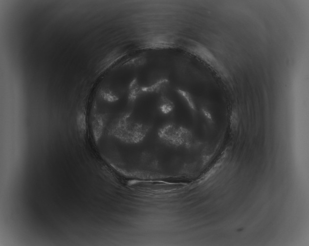 X0000100921209200807151214