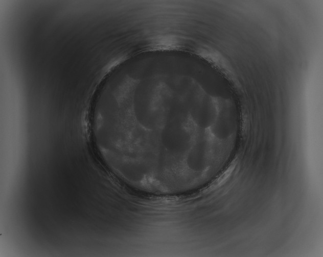 X0000100921210200807151214