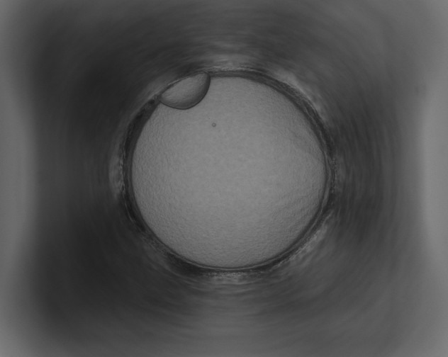 X0000100921211200807151214