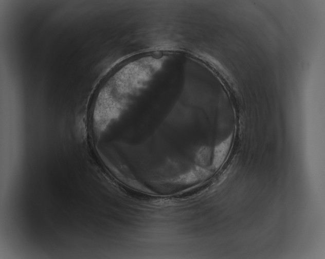 X0000100921212200807151215