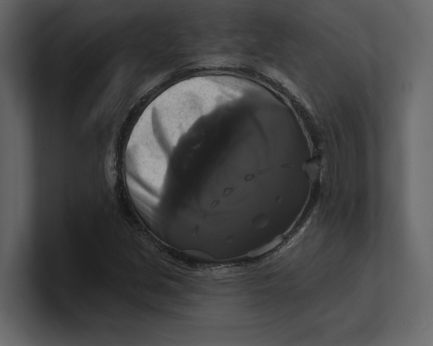 X0000100921213200807151215