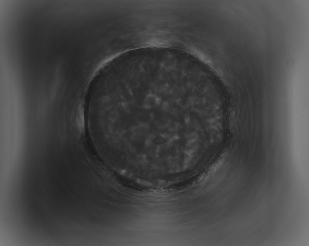 X0000100921214200807151215