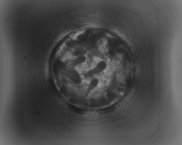 X0000100921215200807151215