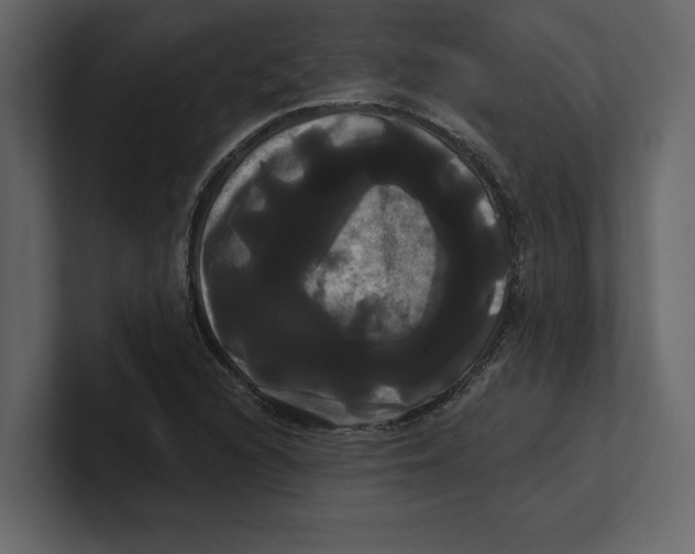 X0000100921216200807151215