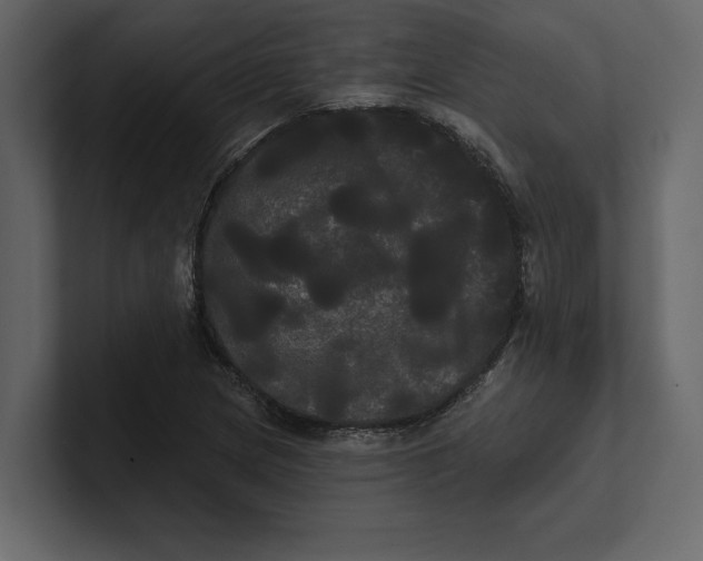 X0000100921217200807151215