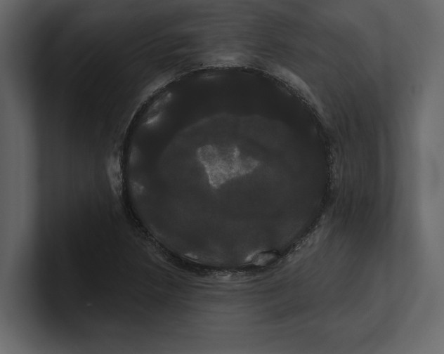 X0000100921218200807151215