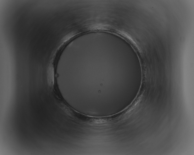 X0000100921219200807151215