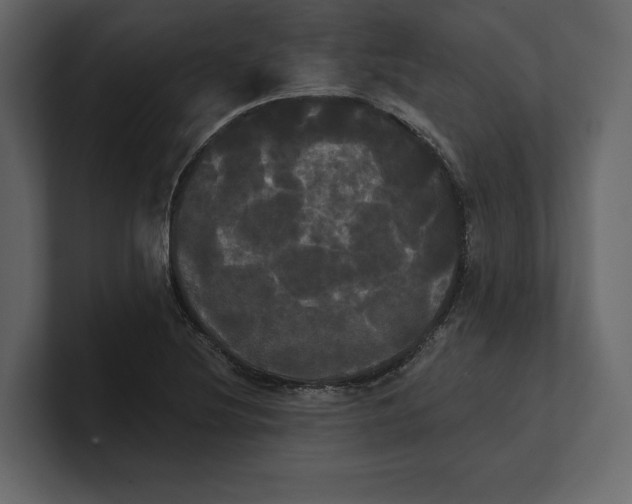 X0000100921220200807151215