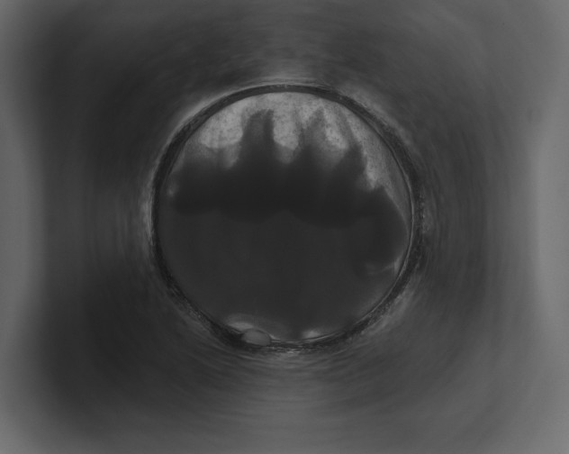 X0000100921222200807151215