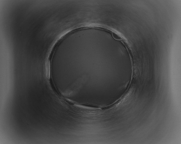 X0000100921223200807151215