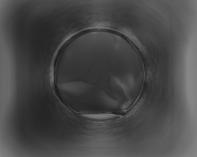 X0000100921224200807151215