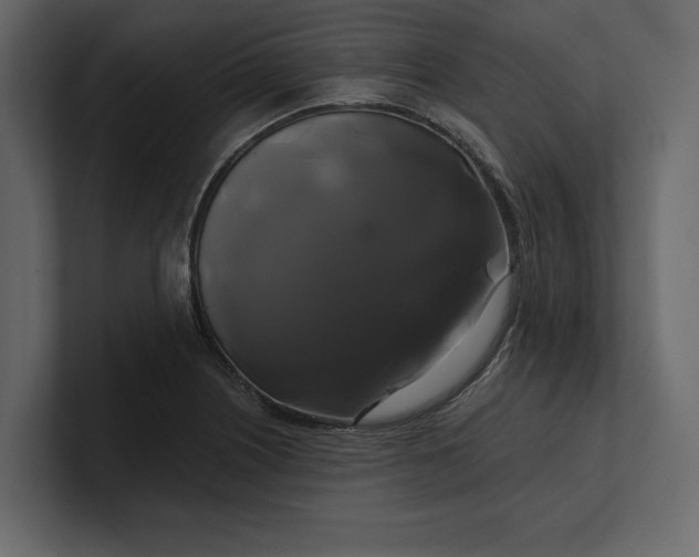 X0000100921226200807151215