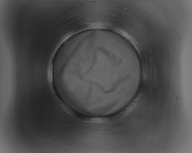 X0000100921227200807151215