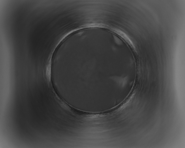 X0000100921228200807151215