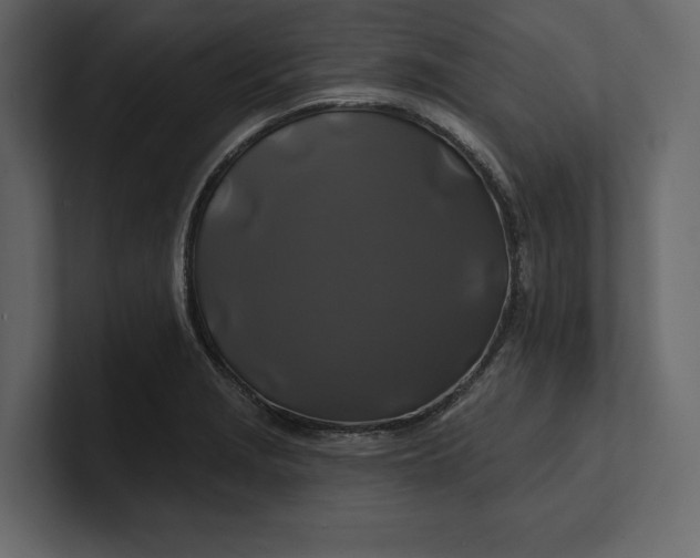 X0000100921229200807151215