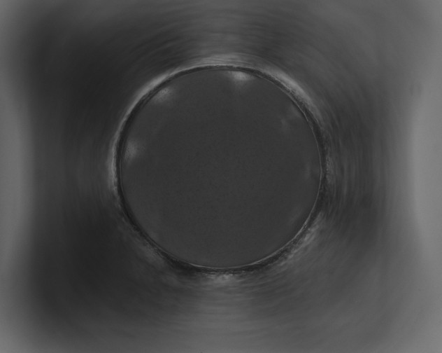 X0000100921230200807151215