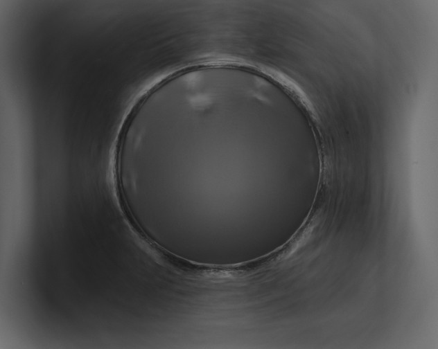 X0000100921231200807151215