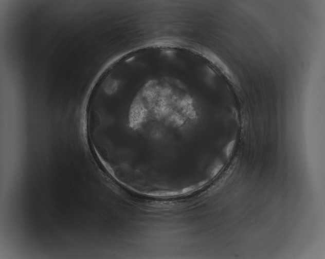 X0000100921232200807151215