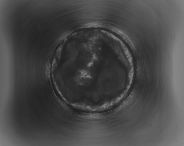 X0000100921233200807151215