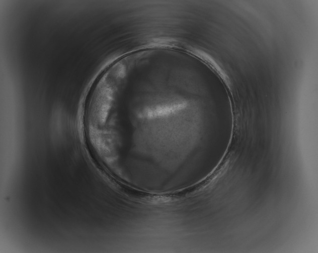 X0000100921235200807151215