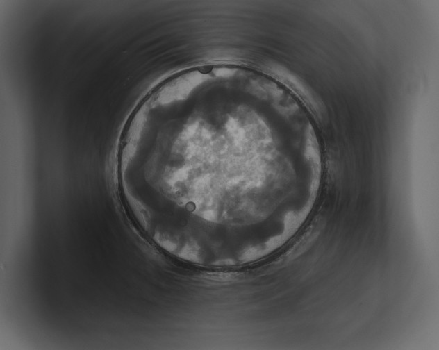 X0000100921236200807151215