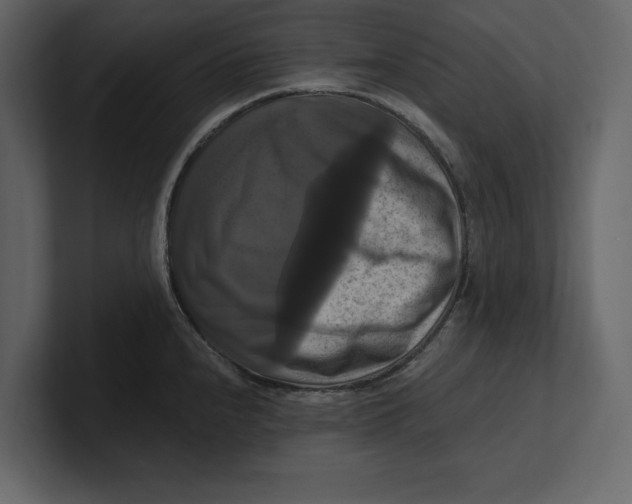 X0000100921240200807151215