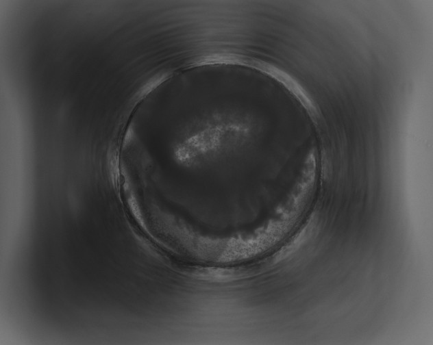 X0000100921241200807151215