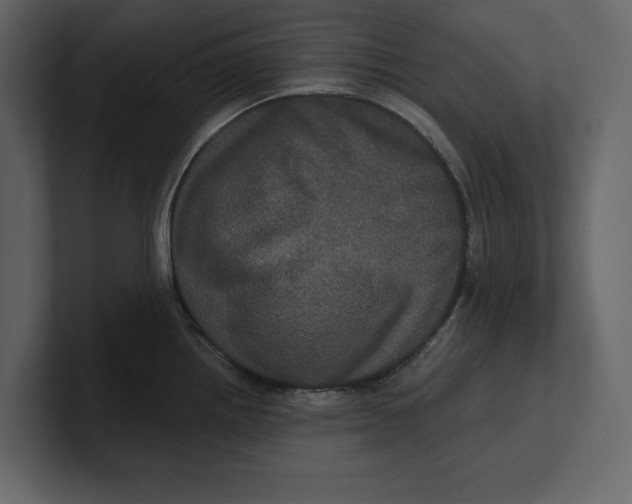 X0000100921242200807151215