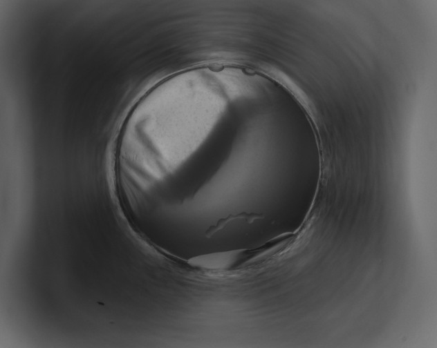 X0000100921243200807151215