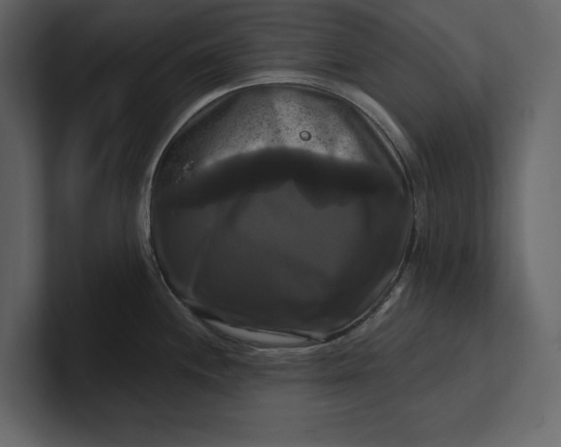 X0000100921244200807151215