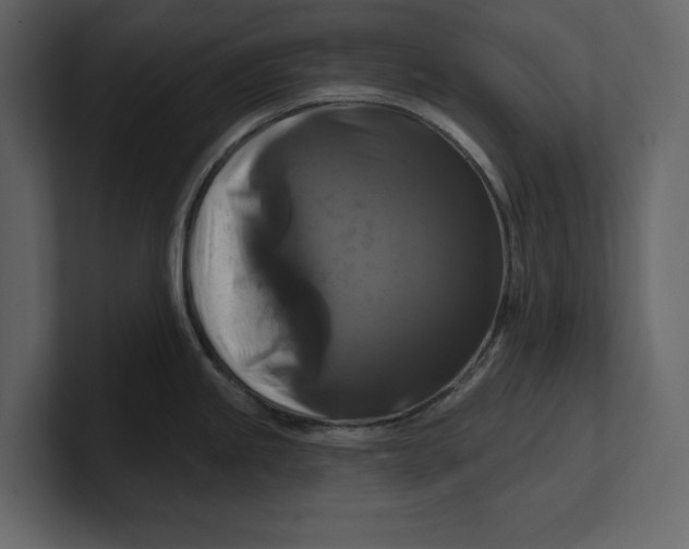 X0000100921245200807151215