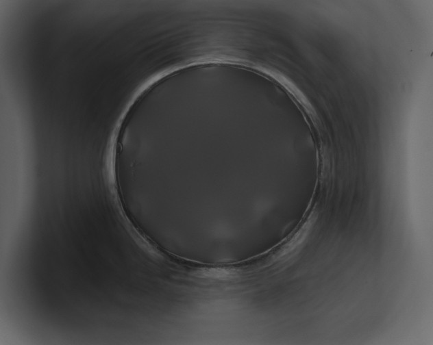 X0000100921246200807151215