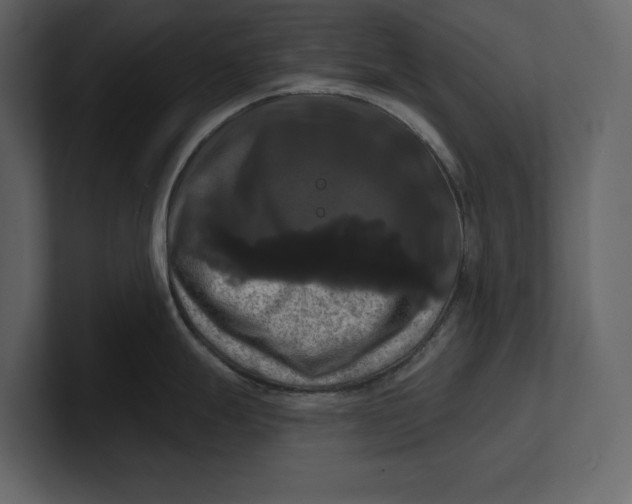 X0000100921247200807151215