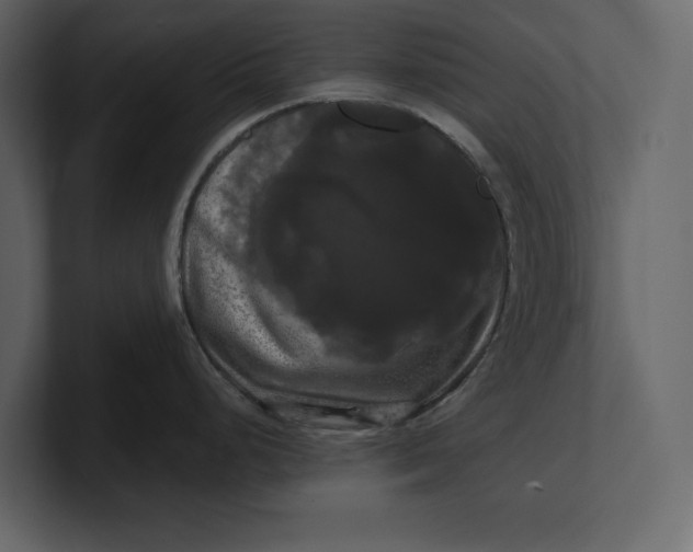 X0000100921248200807151215