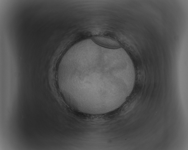 X0000100921249200807151214