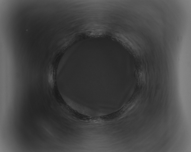 X0000100921250200807151214