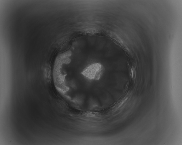 X0000100921251200807151214