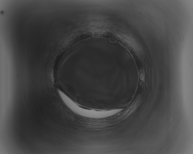 X0000100921252200807151214