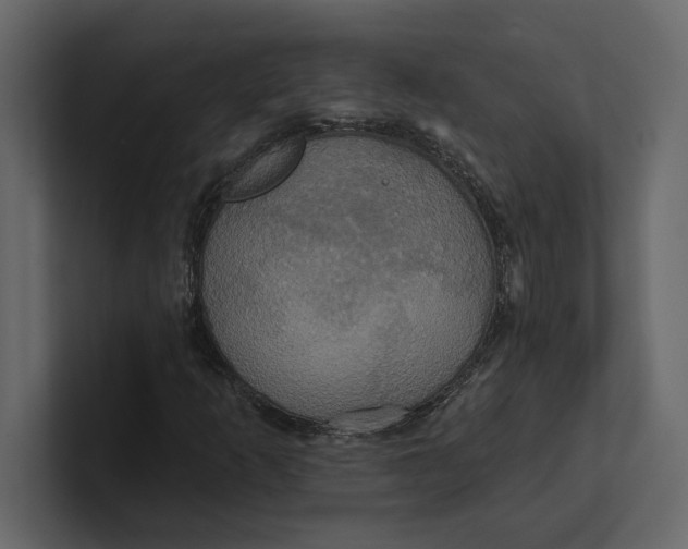 X0000100921253200807151214